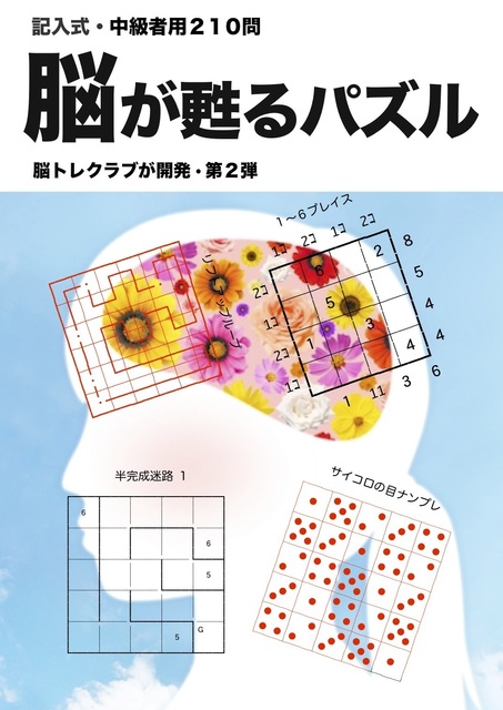 hyoshi2..1jpeg.jpg